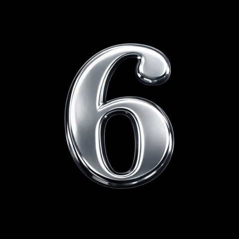 GENDEC 7 cm Metalik Gri Kapı Numarası No:6