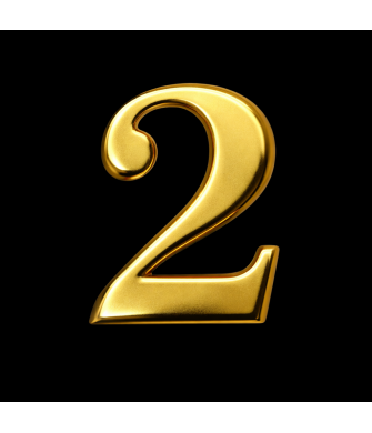 GENDEC 8 cm Altın Sarı Paslanmaz Metal Kapı Numarası No:2