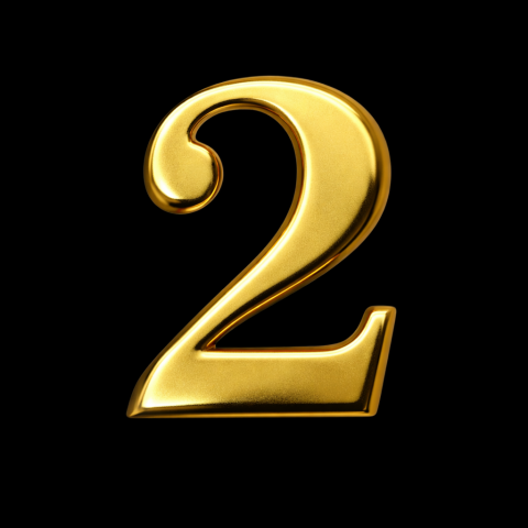 GENDEC 8 cm Altın Sarı Paslanmaz Metal Kapı Numarası No:2